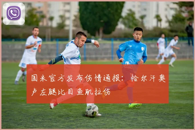 国米官方发布伤情通报：恰尔汗奥卢左腿比目鱼肌拉伤